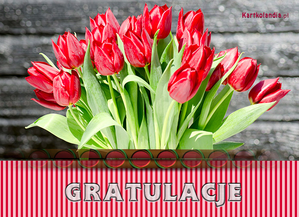 II ETAP KONKURSU RECYTATORSKIEGO „SŁOWEM-POLSKA”